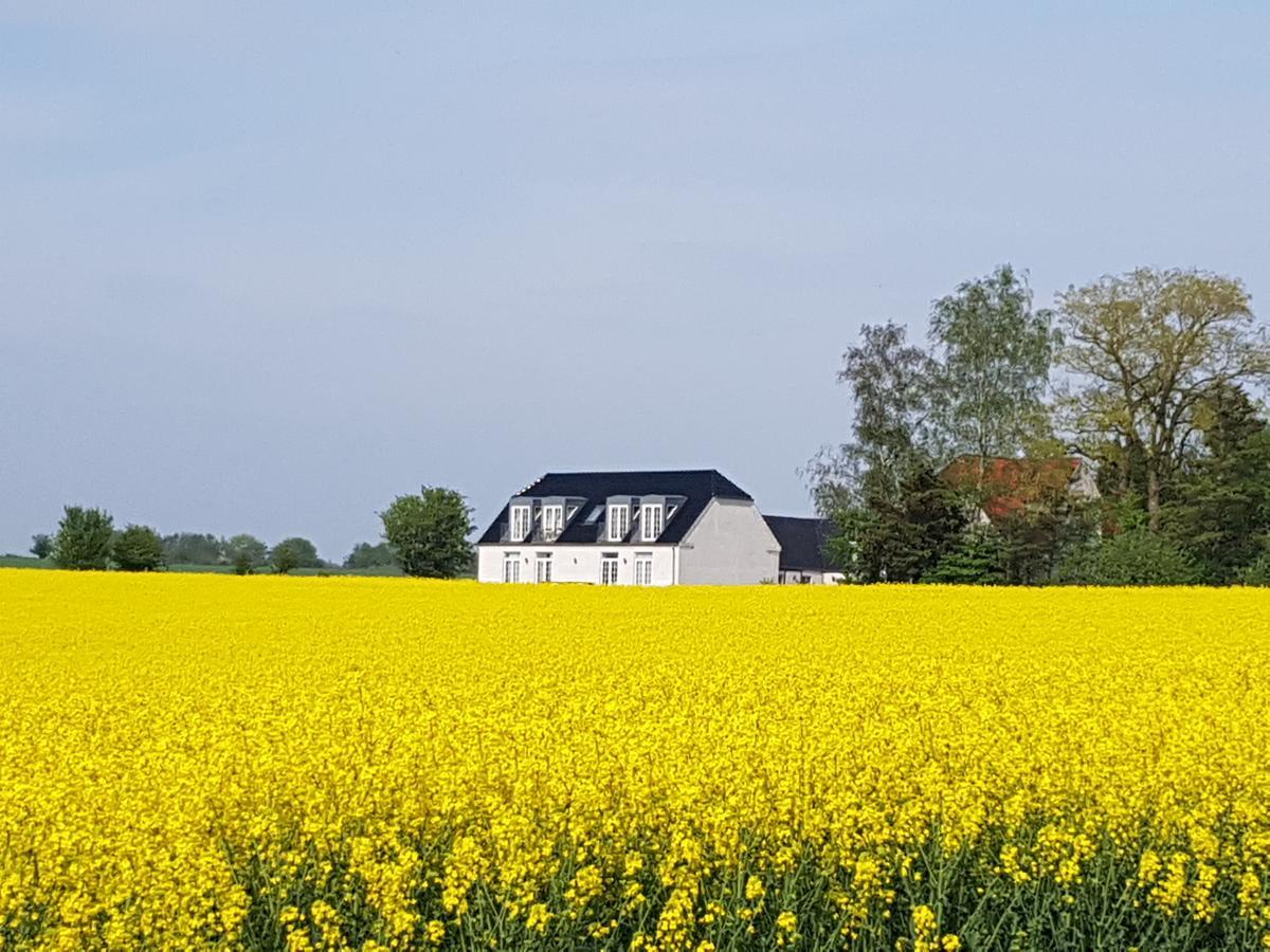 Roskilde B&B Gadstrup Exterior foto